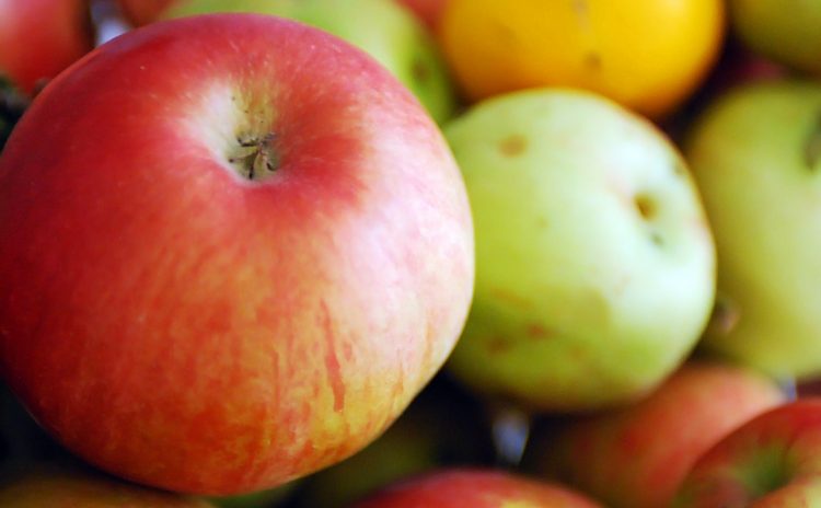 16 redenen om appelazijn iedere dag te gebruiken