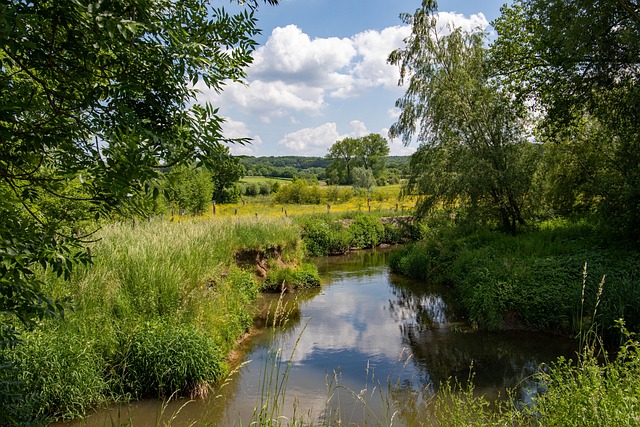 wandelen limburg natuur